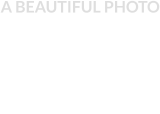 ABSOLUTELY DISCREET